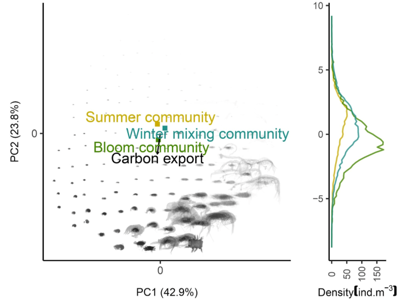 graphique de la taille et transparence de 3 communautés mésozooplanctoniques