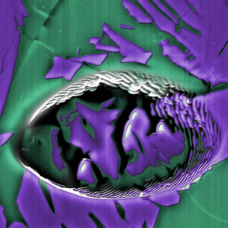 Image en fausses couleurs du cratère d'impact du faisceau primaire de la sonde ionique dans un chondre de la météorite Semarkona

© CRPG (INSU-CNRS)[...]