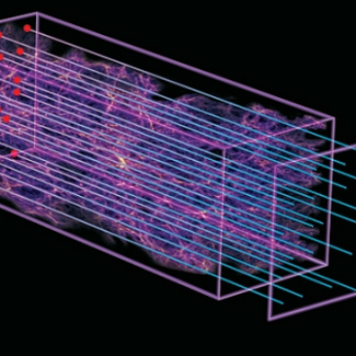 Technique de mesure utilisée : la lumière de quasars distants (les points à gauche) est partiellement absorbée lorsqu'elle traverse des nuages d'hydrogène intergalactique (au centre). Ce phénomène crée une « forêt » de raies d'absorption, qui peut être interprétée pour créer une carte du gaz.
Les points jaunes sont les quasars précédemment connus. Les points rouges sont les quasars découverts par BOSS. BOSS a collecté des spectres de dix fois plus de quasars que les précédents relevés (crédits : © Zos[...]