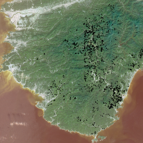 Vue satellitaire Sentinel 2 de la péninsule de Kii au Japon et glissements de terrain du typhon Talas (en noir).