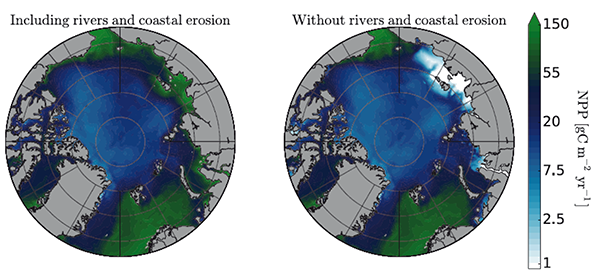 Illustration scientifique