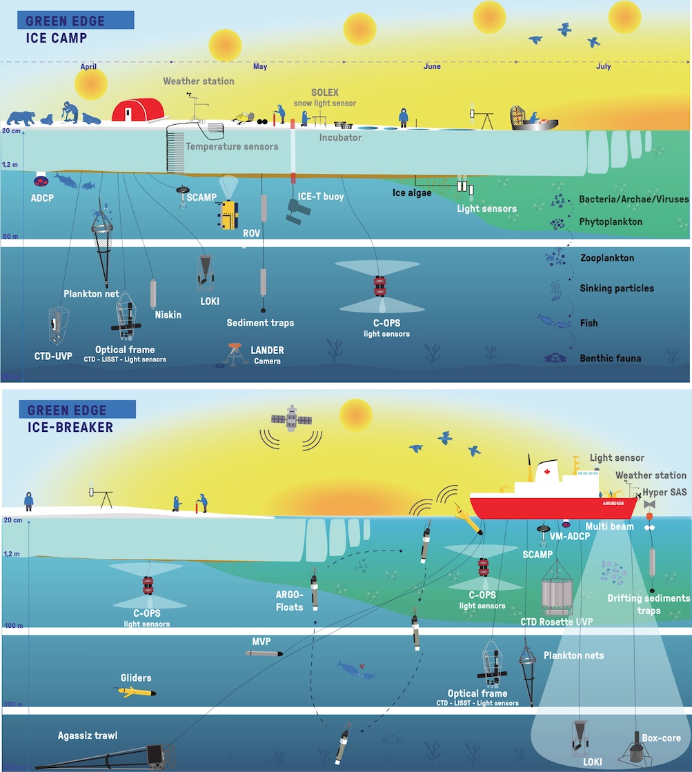 Infographies créées pour illustrer les expéditions du camp de glace