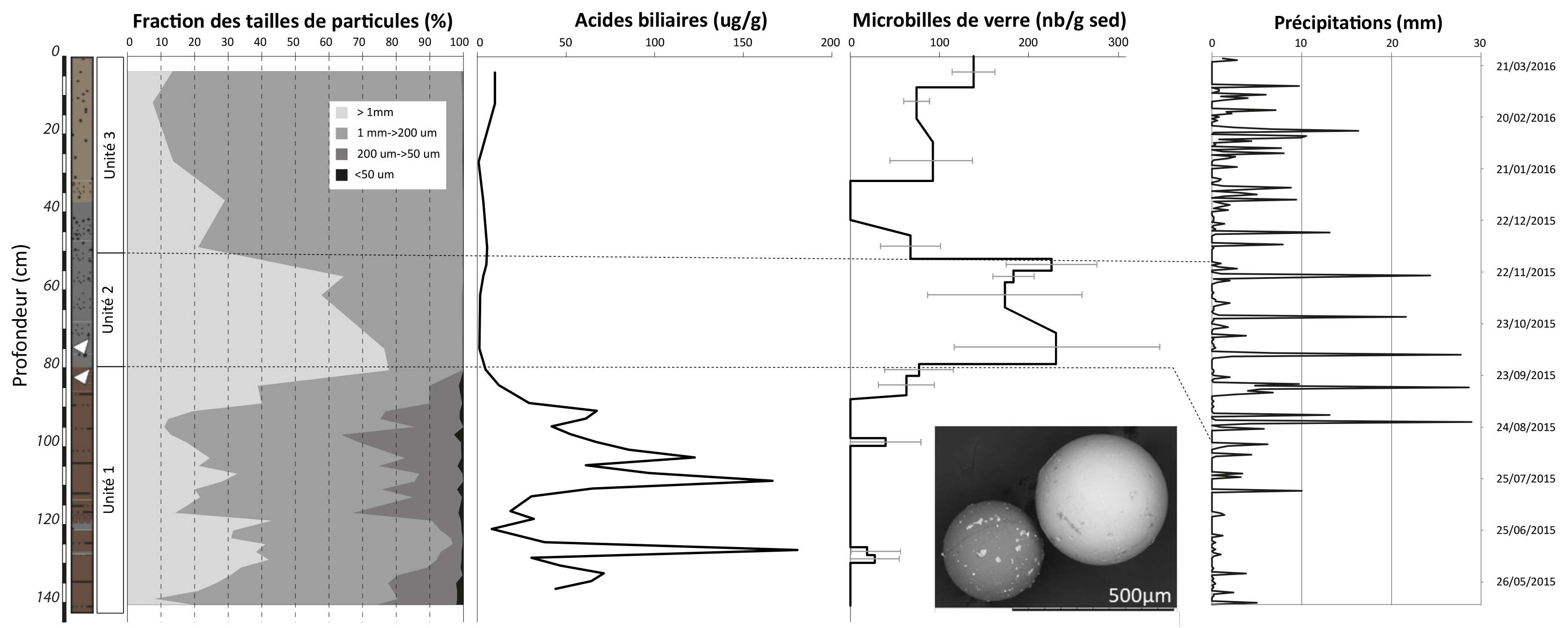 Illustration scientifique