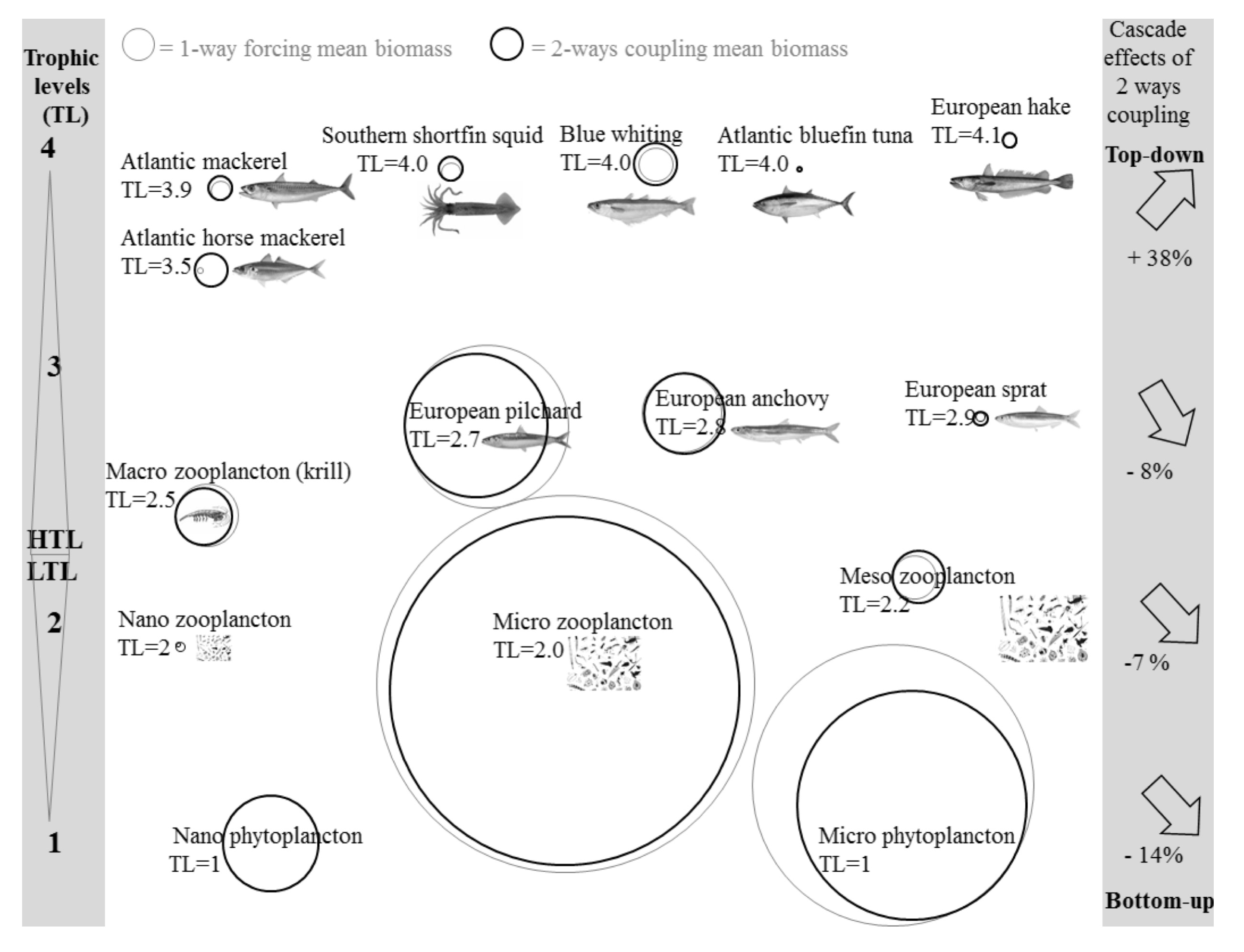 Illustration scientifique