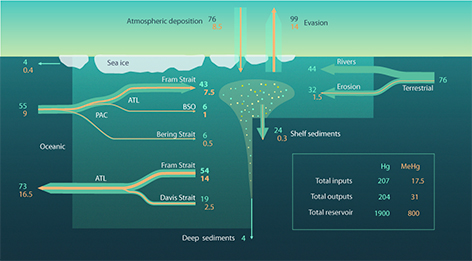 Illustration scientifique