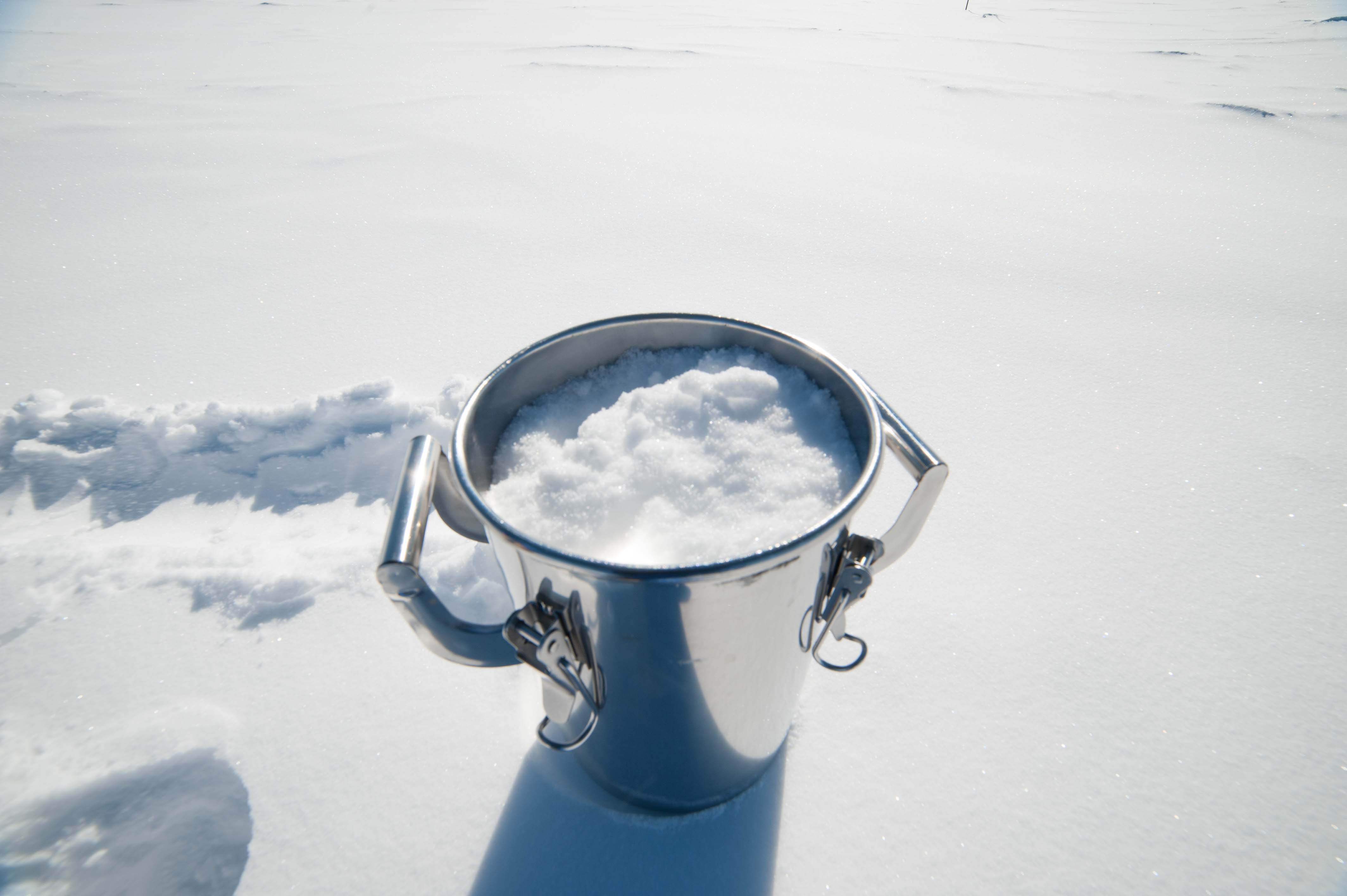 Photo d’un échantillon de neige de surface dédié à l'analyse des contaminants organiques émergents.