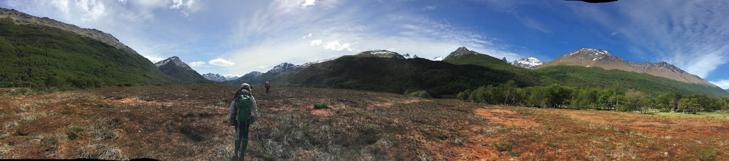 to d'une tourbière en Terra del Fuego.