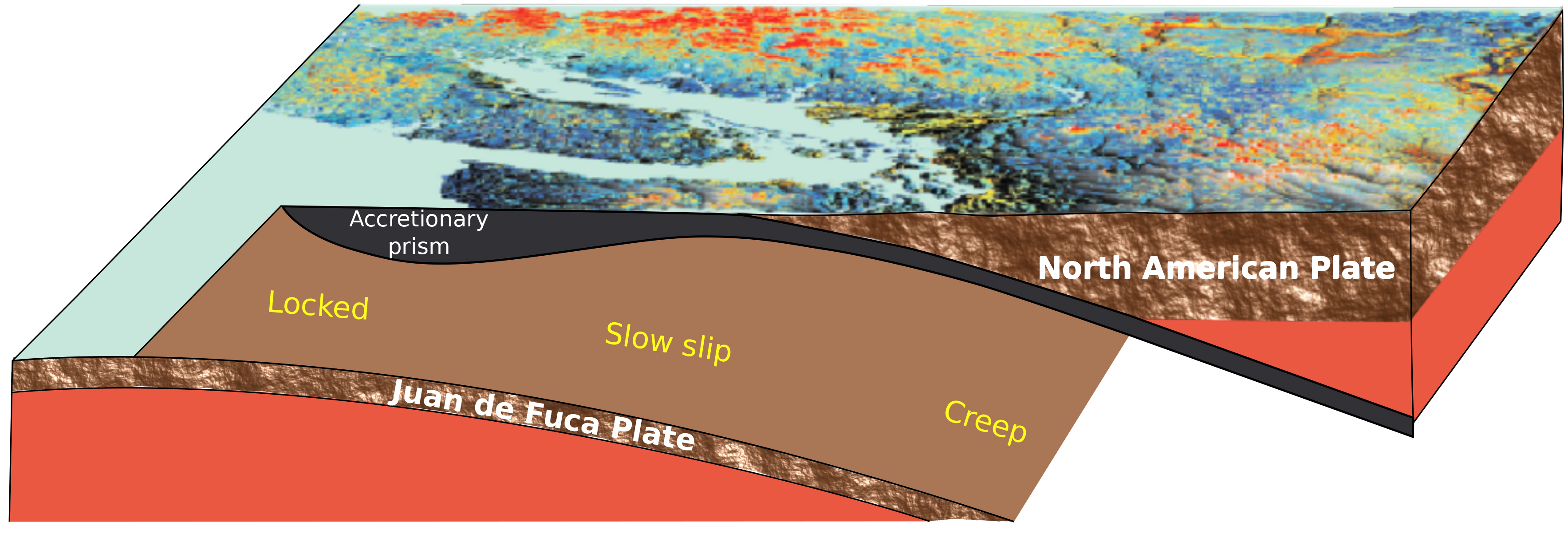 Schéma de la zone de subduction des Cascades où des séismes lents se produisent environ tous les 14 mois.