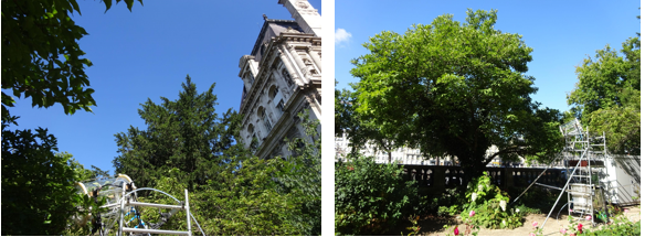 Piégeage des COV émis par les arbres du jardin de l'hôtel de ville