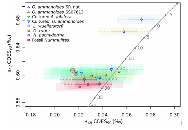 Composition en Δ47 et Δ48 de foraminifères actuels et fossiles comparée à la calibration empirique de l'équilibre abiogénique
