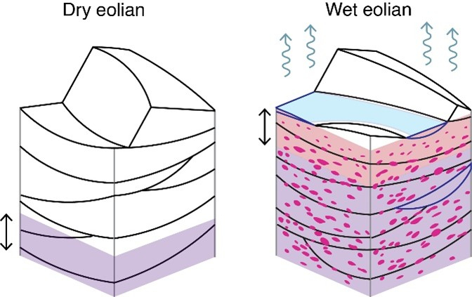Modèle de formation des sulfates (rouge) dans un champ de dunes en suivant les climats anciens où la nappe phréatique (violet) se rapprochait de la surface permettant son évaporation.