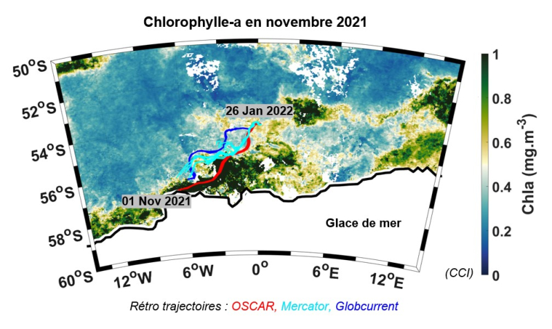 Rétro trajectoires, en utilisant différents produits de courants marins (Oscar, Mercator, Globcurrent), superposées sur une carte de chlorophylle-a en novembre 2021