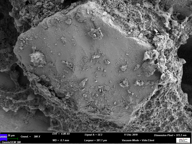 Photo obtenue au cryo-microscope électronique à balayage montrant un grain de quartz enveloppé par un complexe constitué d’argile et d’exopolymères