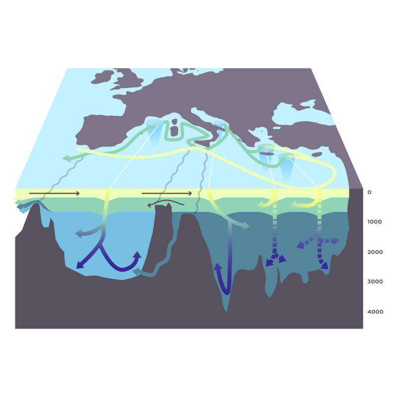 www.insu.cnrs.fr