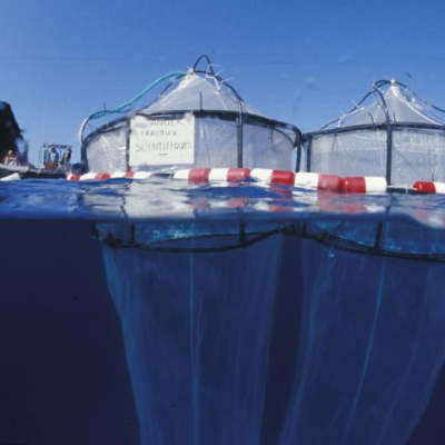 Deux mésocosmes vus de la surface pendant la phase pilote en juillet 2007. L'échantillonnage à 3 profondeurs différentes (subsurface, 5 mètres et 10 mètres) se fait par pompage par l'extérieur sans aucune perturbation de l'intérieur du sac. Un piège à particule est placé à l'extrémité du sac à 14 mètres de la surface. © OOV, D. Luquet[...]