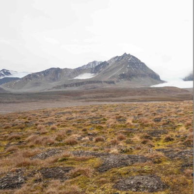 Bayelva Permafrost