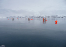 Photo de mésocosmes déployés dans la baie du Roi en Norvège