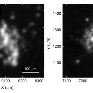 Images de deux particules cométaires, appelées Kenneth et Juliette, collectées et analysées par l’instrument COSIMA, et dans lesquelles des macromolécules organiques ont été détectées. 
Crédits image : ESA/Rosetta/MPS for COSIMA Team MPS/CSNSM/UNIBW/TUORLA/IWF/IAS/ESA/BUW/MPE/LPC2E/LCM/FMI/UTU/LISA/UOFC/vH&S/ Fray et al (2016)[...]