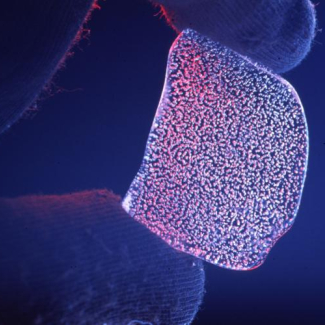 Bulles d'air emprisonnées dans de la glace.

© David Etheridge, David Whillas, CSIRO.[...]