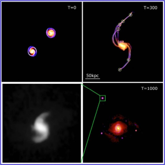Exemple d'une simulation de collision entre deux galaxies spirales.

Chaque image correspond à l'état du système à des moments clefs : à T=0, début de la collision ; à T=300 millions d'années, formation des naines de marée dans les longues queues de marée ; à T=1 milliard d'années, alors que les naines de marée qui ont survécu apparaissent comme des galaxies satellites en orbite autour de leurs galaxies parents qui ont entre temps fusionné. En bas à gauche, zoom sur l'une des naines de marée dévoilan[...]