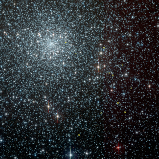 Image de l'amas globulaire NGC 6397 prise avec le télescope de 2,2 m de l'ESO. Les carrés jaunes représentent les étoiles cibles observées avec le VLT équipé du spectrographe FLAMES-UVES.

© ESO.[...]