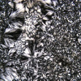 Silex du Groupe Jixian (Chine) d'âge protérozoïque,1,4 milliard d'années.

Lame mince de 30 microns observée au microscope optique polarisant. Le champ d'observation, de 80 micromètres par 60 micromètres, révèle du quartz microcristallin qui est supposé avoir au mieux conservé les valeurs isotopiques des conditions de formation du silex il y a 1,4 milliards d'années et du quartz radiaire qui est le produit de remobilisation et de recristallisation de silice secondaire. Les caractéristiques techniques[...]
