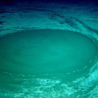 Par 3000 m de profondeur, sur un volcan de boue au large de l'Egypte, un mélange de boue, de saumures et de fluides est émis en fond de mer par ces sorties circulaires qui évoquent des jacuzzis. La température en surface des ces évents est de 40°C. La "neige" qui les entoure est constituée de soufre élémentaire résultant de l'oxydation de sulfures par de bactéries.

© CNRS - Ifremer / Victor 6000 / Medeco 2007.[...]