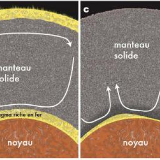 Evolution schématique de la Terre interne, depuis la formation du noyau il y a 4,53 milliards d'années 


(a). L'océan de magma de surface (en jaune) cristallise rapidement par radiation vers l'espace tandis que le fer migre vers le noyau. En revanche, la cristallisation de l'océan de magma basal est contrôlée par les lents mouvements de convection dans le manteau solide (gris, b : il y a environ 4,45 milliards d'années), ce qui permet aux dernières zones liquides de survivre jusqu'à ce jour (d) sou[...]