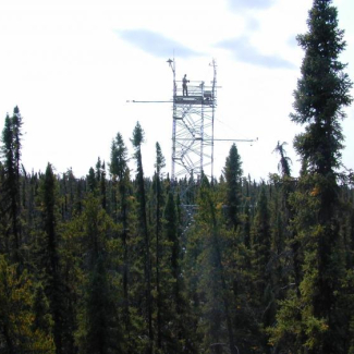 Tour de mesure des flux de CO2 sur une forêt d'épicéa au Québec.

© Anne Larcher[...]