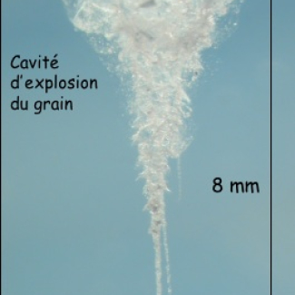 Cavité laissé par l'impact d'un grain dans l'aérogel.

© NASA. CNES. INSU-CNRS.[...]