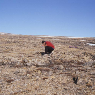 Dominique Jolly (Institut des sciences de l'évolution) échantillonnant le peu de sol disponible pour une analyse préliminaire de pollens, à Qaanaaq au nord-ouest du Groenland.

© Denis-Didier Rousseau[...]