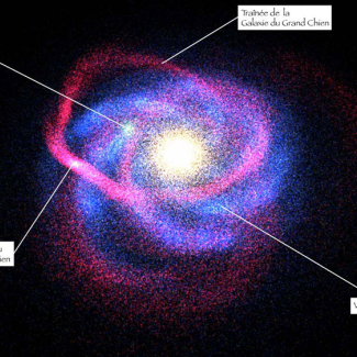 En deux milliards d'années, les étoiles arrachées à la galaxie du Grand Chien ont eu le temps de s'enrouler trois fois autour de la Voie Lactée et créent une structure complexe, vue comme un anneau depuis la Terre.

© CNRS. Observatoire de Strasbourg.[...]