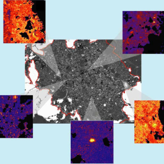 Au centre : inclusion PX18 (contour mis en évidence en rouge) vue au microscope électronique à balayage à haute résolution
© : Omar Boudouma, Université Paris VI, et Giacomo Briani, LMCM (MNHN/INSU-CNRS).

Autour : images NanoSIMS montrant les enrichissements en azote lourd - les points jaunes sont les plus enrichis en 15N
© : LMCM (MNHN/INSU-CNRS)
[...]