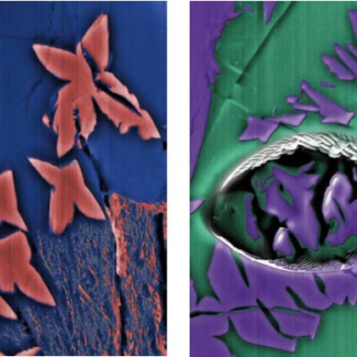 Chondres de la météorite primitive Semarkona. En rose ou violet : cristaux de clinopyroxène, en vert ou bleu marine : matrice vitreuse. Cette phase vitreuse, datée grâce à l'26Al, est le plus vieux verre connu du système solaire formé moins d'un million d'années après les tous  premiers corps.

© CRPG (INSU-CNRS)[...]