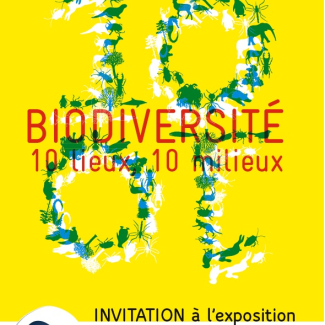 © CNRS[...]