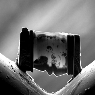 Cette image obtenue dans un microscope électronique à balayage montre un échantillon de « manteau » après transformation, collé sur une grille en cuivre et aminci par focused ion beam (FIB). Elle permet d'apercevoir les différents minéraux synthétisés et liquides trempés lors de ces expériences : une matrice constituée d'une phase de structure perovskite de composition (Mg,Fe)SiO3 (il s'agit du minéral le plus abondant de la Terre car stable dans tout le manteau inférieur) apparaît en gris clair. On y [...]