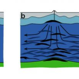 Schémas simplifiés des modèles d'accrétion océanique qui seront testés avec les gabbros échantillonnés dans le puits 1256D (d'après Korenaga & Kelemen, 1998). Les gabbros sont issus de la cristallisation du liquide présent dans la lentille magmatique en toit de chambre (modèle A), ou bien résultent pour l'essentiel de multiples injections magmatiques dans la croûte inférieure (modèle C). Le modèle B est un modèle hybride, combinant ces deux modes d'accrétion.[...]