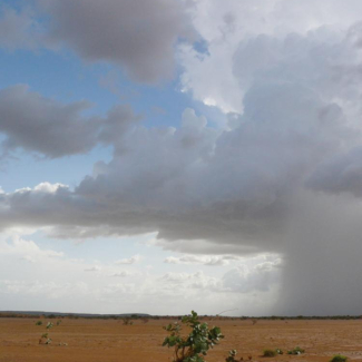 Déclenchement d'un orage en zone semi-désertique au Mali pendant la mousson. © F. Guichard[...]