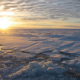 Banquise arctique. © Lucas Girard[...]