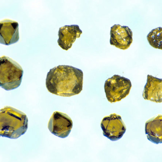 Assemblage de photos des micro diamants étudiés.

Les formes géométriques visibles (octaèdres et cubes) sont dûes à la structure cristalline alors que les formes arrondies sont la conséquence de la résorption provoquée par le contact avec le magma. La couleur jaune révèle quant à elle la présence d'une grande quantité d'atomes isolés d'azote dans le diamant, ce qui est caractéristique des diamants métamorphiques.

© Science.[...]