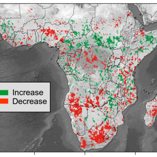 Changement dans les stocks de carbone de la végétation sur le continent Africain (sub-Saharien) sur la période 2010–2016. Les régions avec des changements significatifs négatifs (source de carbone) ou positifs (puit de carbone) sont indiqués, respectivement, en rouge ou en vert (Increase : augmentation-gain des stocks de carbone ; Decrease : diminution-perte des stocks de carbone). © M. Brandt – Université de Copenhague[...]