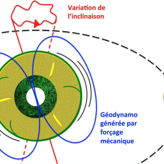 Les effets gravitationnels associés à la présence de la Lune et du Soleil induisent sur Terre la déformation cyclique du manteau terrestre et des oscillations de l'axe de rotation. Ce forçage mécanique appliqué à toute la planète induit de forts courants dans le noyau externe constitué d’un alliage de fer de très faible viscosité. Ces courants sont suffisants pour générer le champ magnétique terrestre. © Julien Monteux et Denis Andrault[...]