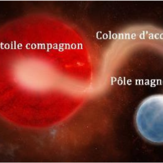 Schéma de l’attraction de matière exercée par une naine blanche (à droite) sur une étoile voisine (à gauche). La matière « aspirée » forme une colonne d’accrétion, qui se concentre au niveau du pôle magnétique de la naine blanche. © Animea/F. Durillon. Pour voir une simulation de ce phénomène
: http://irfu.cea.fr/Sap/Phocea/Video/index.php?id=238[...]