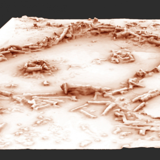 Restitution 3D des structures de la grotte de Bruniquel. © Xavier MUTH - Get in Situ, Archéotransfert, Archéovision - SHS-3D, base photographique Pascal Mora[...]