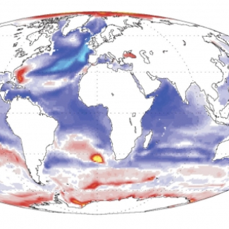Distribution globale des changements de biomasse de la faune au fond de l'océan. Les changements sont exprimés en pourcentages calculés à partir de la variation des biomasses entre aujourd’hui et 2100, rapportée à la biomasse actuelle.[...]