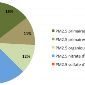 Répartition moyenne des particules fines dont le diamètre aérodynamique est inférieur ou égal à 2.5 microns, mesurées au SIRTA, en fonction de leur nature et de leurs sources d'émission (données du 07/03/2014 au 15/03/2014-11h ; source LSCE & INERIS).[...]