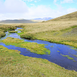 Une étude d’une envergure considérable permet de mieux comprendre le fonctionnement des écosystèmes de rivière à l’échelle globale[...]