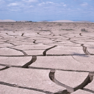 Fentes de dessiccation dans un fond de lagune au Pérou après les inondations de 1983 dues à un épisode El Niño extrême. © IRD, L. Emperaire[...]