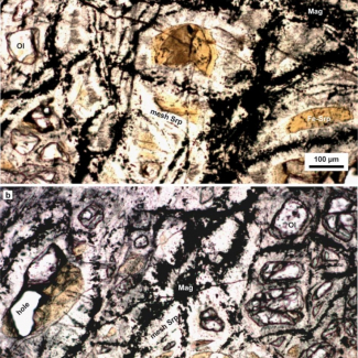 Les premières briques à l'origine de la vie sur Terre observées dans des roches océaniques profondes[...]