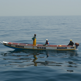 La pêche aux petits poissons pélagiques (sardinelle) est une activité traditionnelle, économiquement très importante pour le Sénégal et les pays voisins. Elle se pratique principalement de manière artisanale à bord de ce type de pirogues jusqu’à plusieurs dizaines de kilomètres des côtes. © AWA, P Brehmer[...]